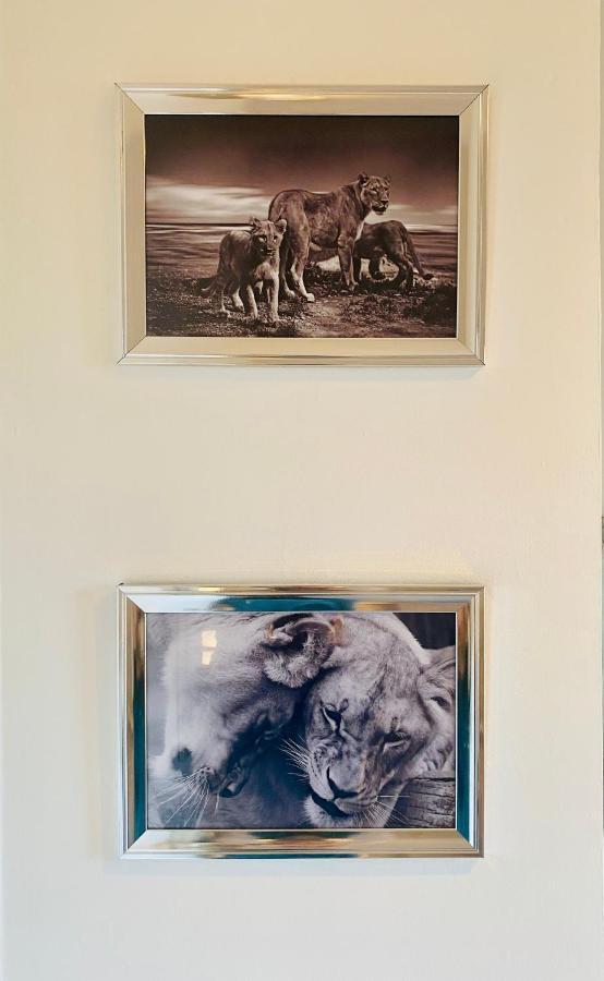 The Sleeping Lion - Dunoon Holiday Home 外观 照片